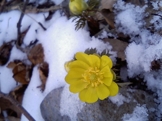 c0042869_21584659.jpg