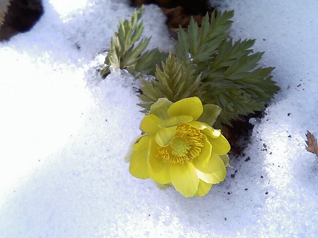c0042869_222129.jpg