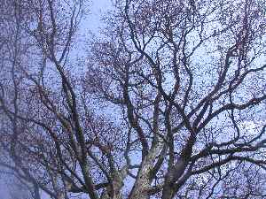 f0075075_20282512.jpg