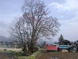 f0075075_2028896.jpg