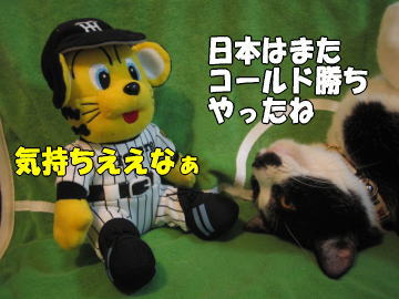 b0041182_056581.jpg