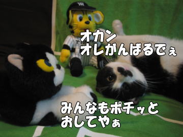 b0041182_1182055.jpg