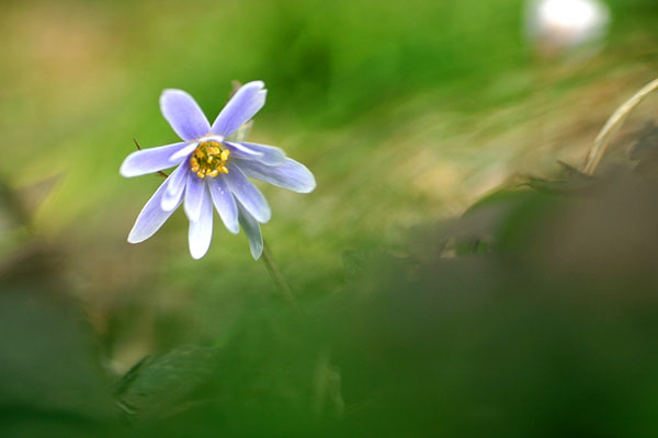 c0038290_7163699.jpg