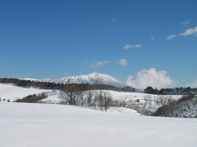 a0043193_18491328.jpg