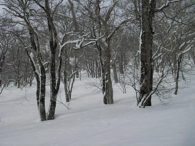 a0043193_1914548.jpg