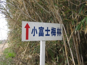 f0036700_13335129.jpg