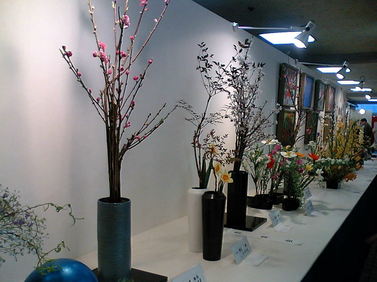f0083400_025231.jpg