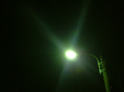 e0000909_1563648.jpg