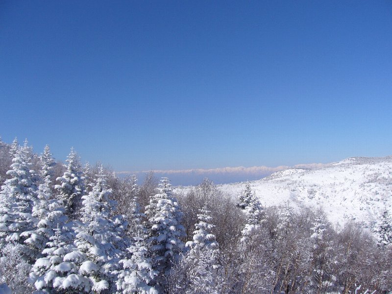 e0073717_10515381.jpg