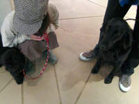 c0012120_0435983.jpg