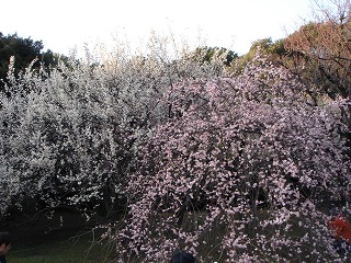 d0023323_1245994.jpg