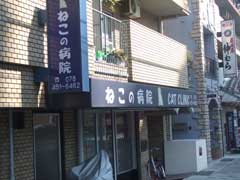 b0054727_18451294.jpg