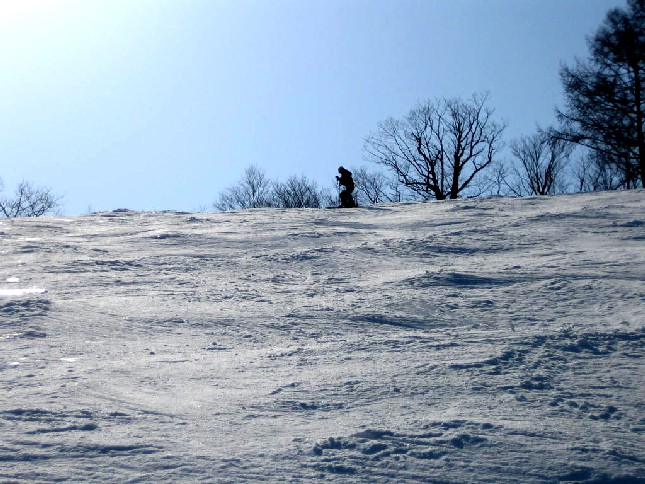 a0005233_893941.jpg