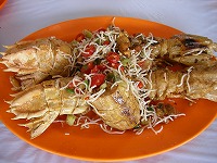 c0008439_114288.jpg