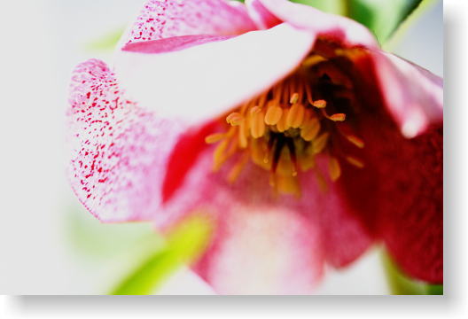f0082348_12215040.jpg