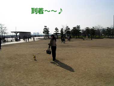 c0019050_04212.jpg