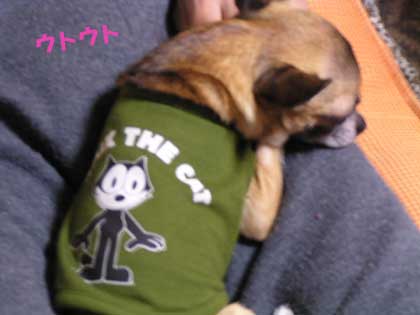 c0019050_23152414.jpg