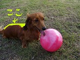 f0056250_23301971.jpg
