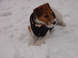 f0077150_2022968.jpg