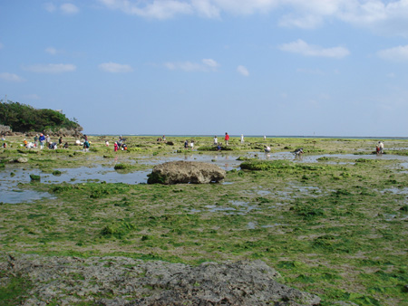 b0049152_9225879.jpg