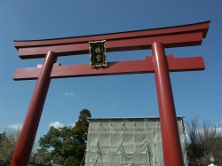 b0044663_13553145.jpg