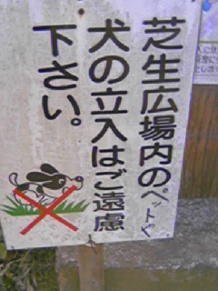 b0024266_1652829.jpg
