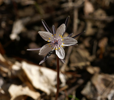 e0054067_0392613.jpg