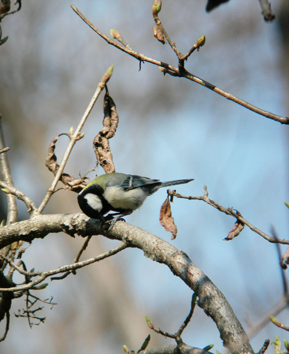 e0015377_12401550.jpg