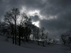 c0072379_20203790.jpg