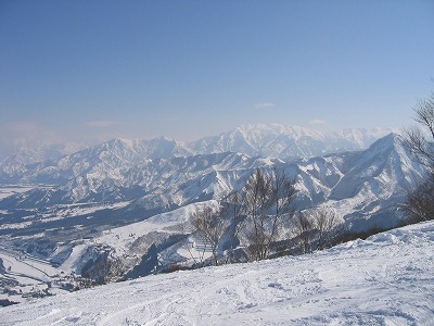 a0038882_1012065.jpg
