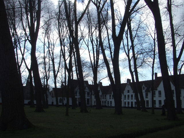 c0069083_20243227.jpg