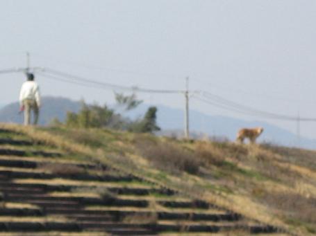 c0062287_21242759.jpg