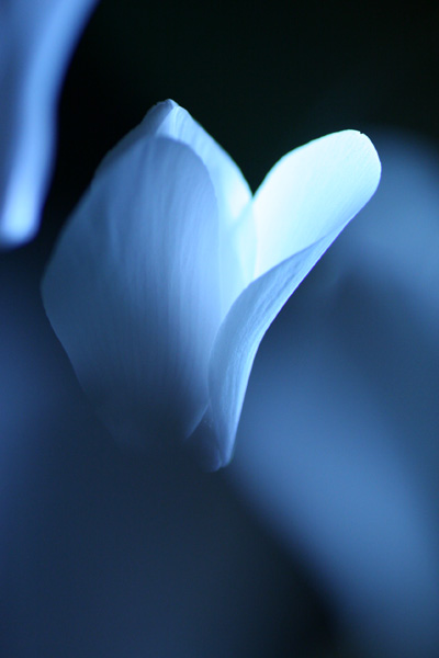 b0067789_2241523.jpg