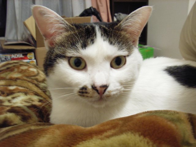 c0023789_13221.jpg