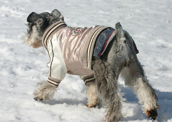 f0001895_1925231.jpg