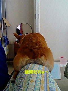 f0077097_19114572.jpg