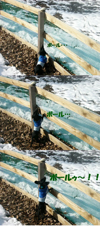 f0077097_19262886.jpg