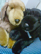 b0004198_1552830.jpg