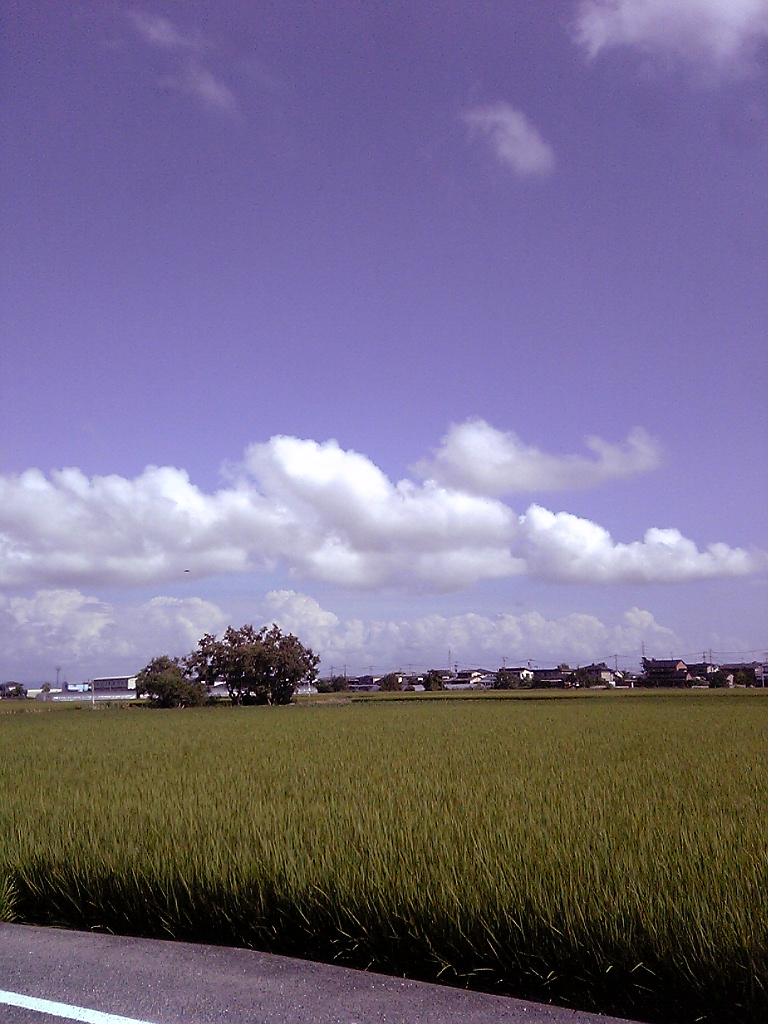 c0071200_5223191.jpg