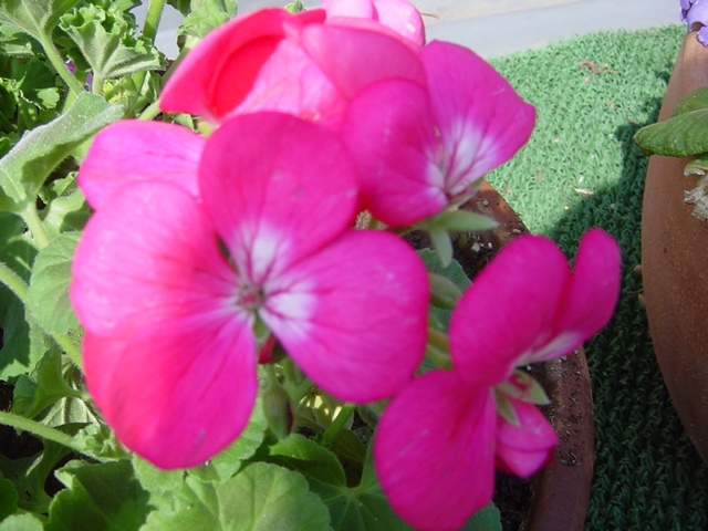 e0028401_27326.jpg
