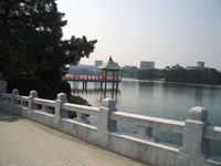 d0018704_21542649.jpg