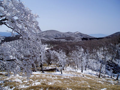 e0091909_955383.jpg