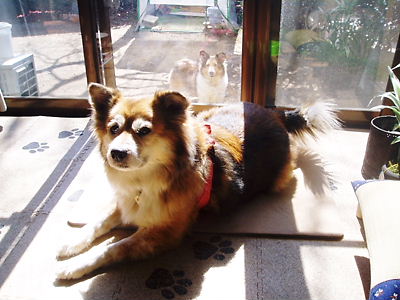 c0029913_1345060.jpg