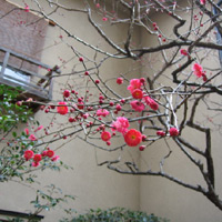 d0033734_1350725.jpg