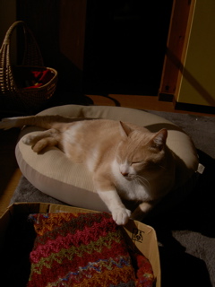 e0058443_358483.jpg