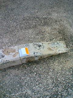 f0019747_17252792.jpg
