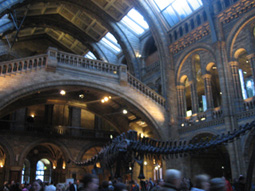 e0086048_19233310.jpg