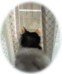 c0025852_1702349.gif