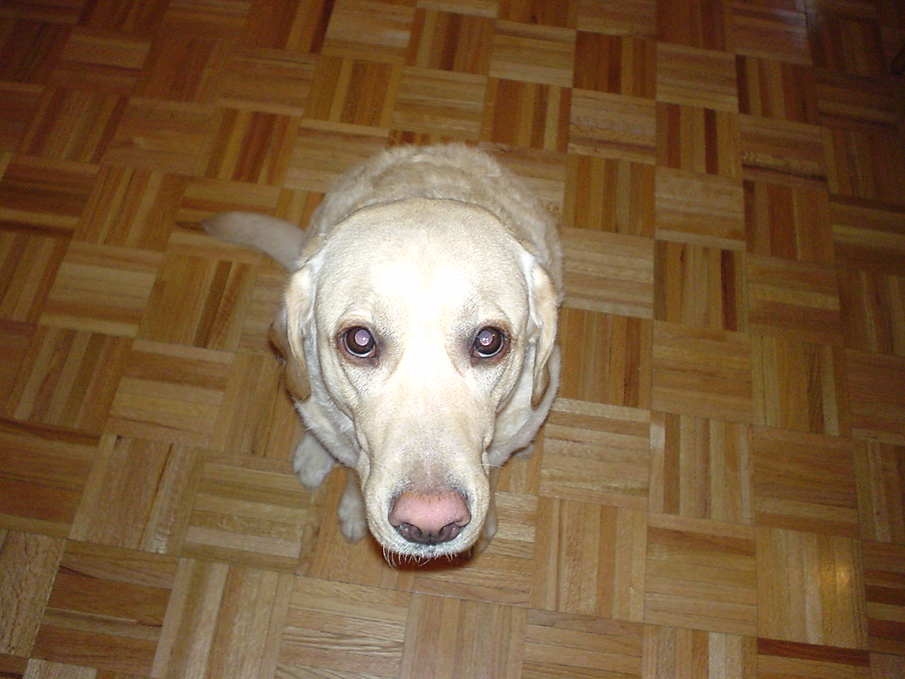 e0015154_8505935.jpg