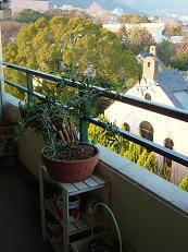 e0074954_17214260.jpg